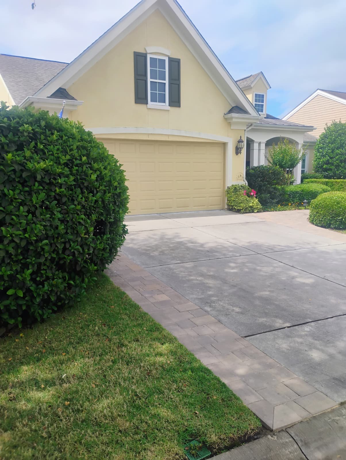 Plant removal and outdoor cleanup